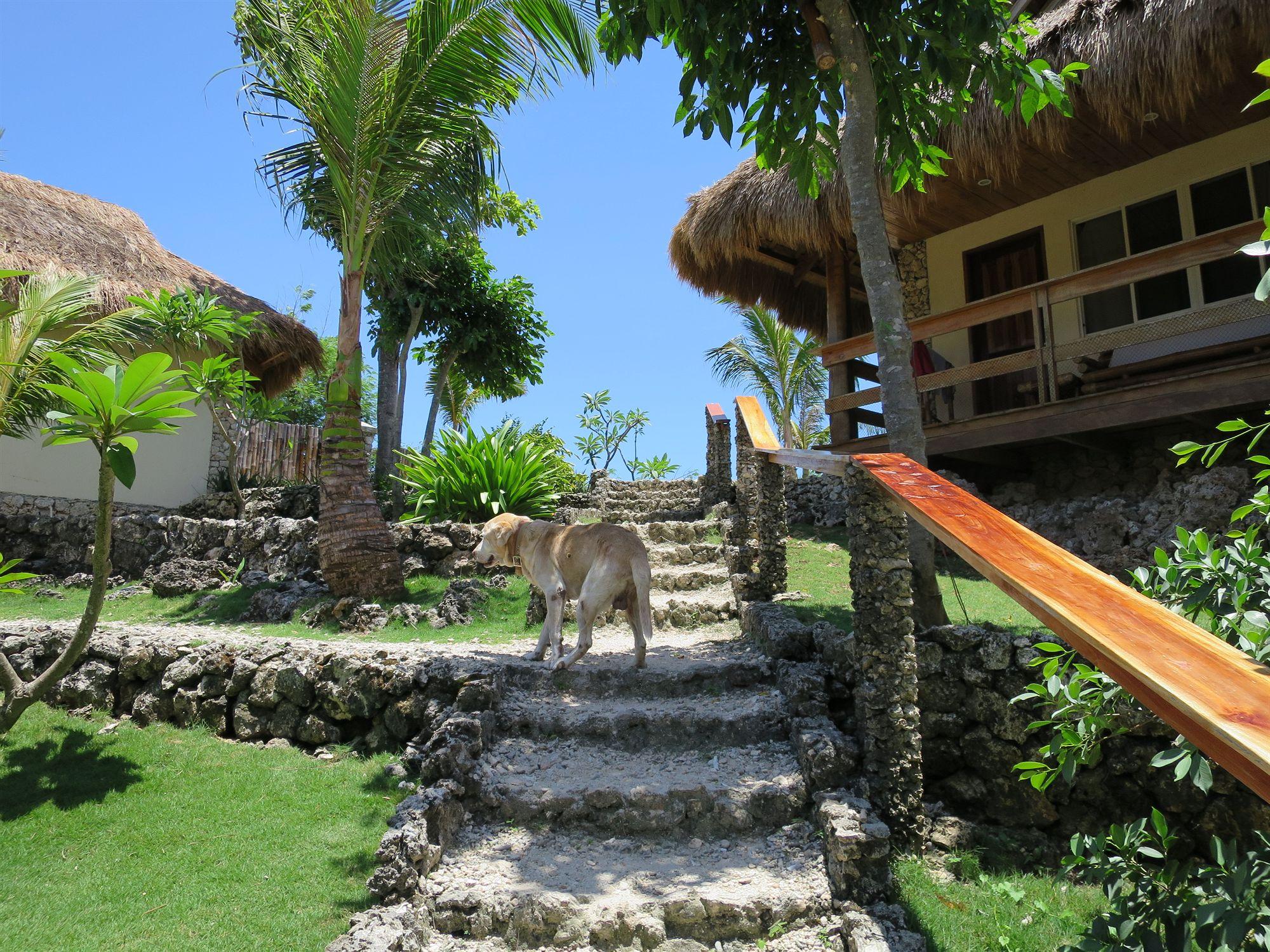 Tepanee Beach Resort Logon Dış mekan fotoğraf
